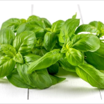 Albahaca blanca - bolsa de 16 onz