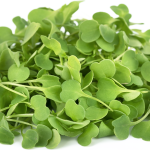 Nuestros microgreens de rúcula son ricos en vitaminas A y C y posee propiedades antioxidantes y antiinflamatorias ademas de Luteína y Zeaxantina, dos potentes antioxidantes que ayudan a mejorar la salud de nuestros ojos y ayudan a nuestro organismo a combatir moléculas inestables llamadas radicales libres