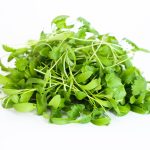 Los microvegetales de cilantro se convirtieron en un básico en mi cocina. Su intenso sabor y perfil nutricional eran inigualables. Fue como descubrir un superalimento secreto, oculto a simple vista. Esta publicación profundiza en los microvegetales de cilantro, explorando su perfil nutricional, beneficios para la salud y condiciones únicas de cultivo.